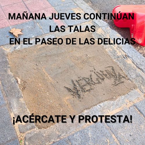 Talan nuestros árboles,  acércate y protesta