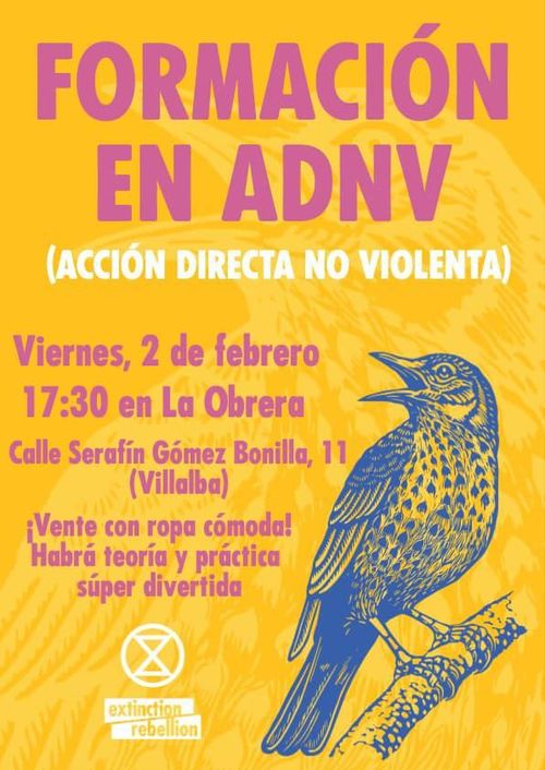 Taller en 🦚 Acción Directa No Violenta con parte teórica y práctica 🦄,