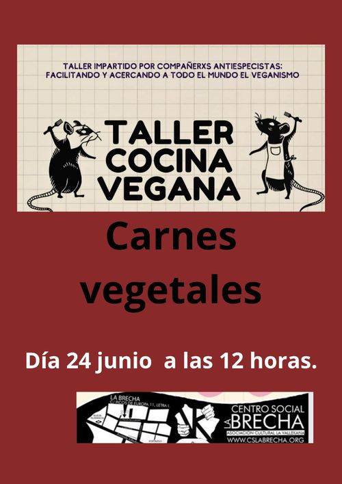 TALLER DE COCINA VEGANA