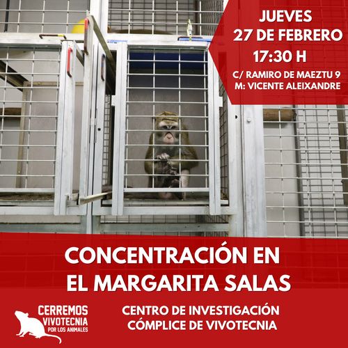 Fotografía de un macaco en el interior de una jaula en Vivotecnia con el texto: Concentración en Margarita Salas. Cómplice de Vivotecnia
A la izquierda el logo de la campaña Cerremos Vivotecnia Por Los Animales, con la silueta blanca de una rata