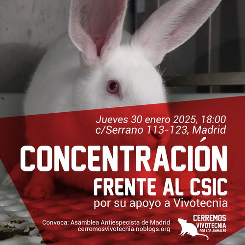 Concentración en el CSIC por su apoyo a Vivotecnia