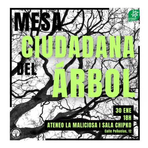 Mesa ciudadana del árbol🌳📣 