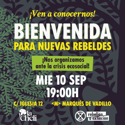 💚 DESCUBRE EL ACTIVISMO CLIMÁTICO 🦜