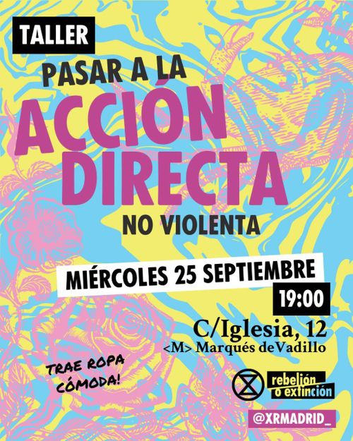 Formación en Acción Directa No Violenta