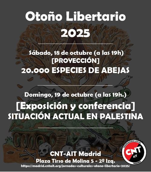 [Proyección] 20.000 especies de abejas
