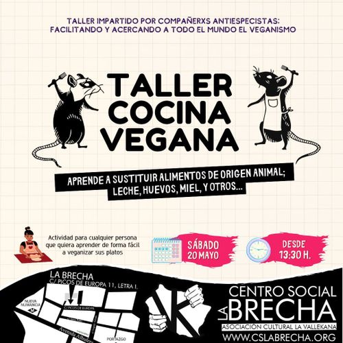 Taller de cocina vegana