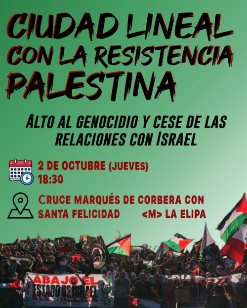 Ciudad Lineal con la resistencia palestina 