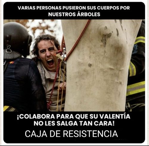 Las vecinas que se alzaron contra la tala en #MadridRío se enfrentan a graves multas por defender nuestros 🌳🌳🌳.