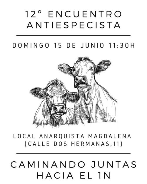 12° Encuentro Antiespecista. Domingo 15
