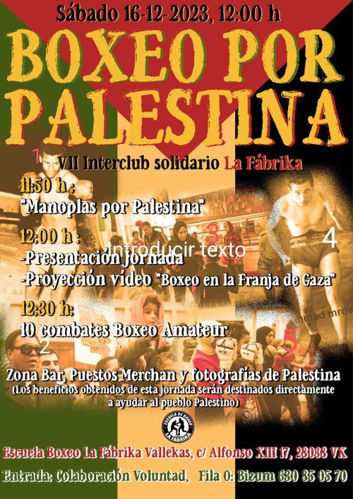 Boxeo por Palestina🇵🇸🥊