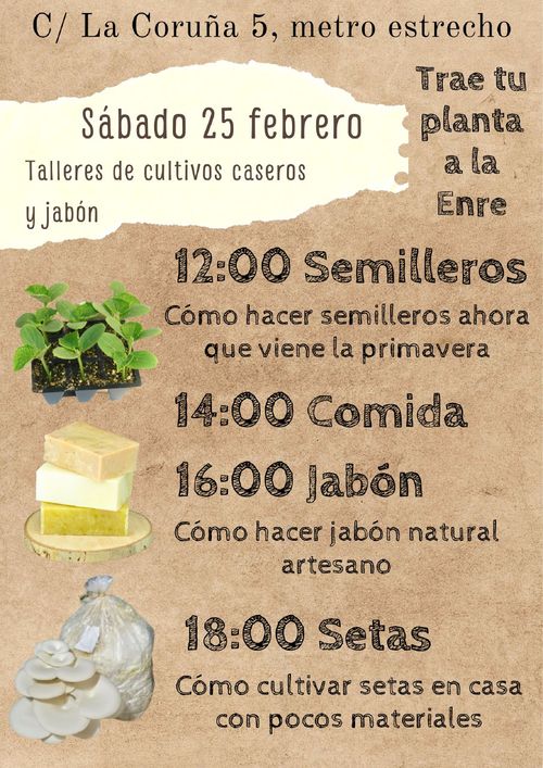 Talleres de semillero, cultivo de setas y jabones