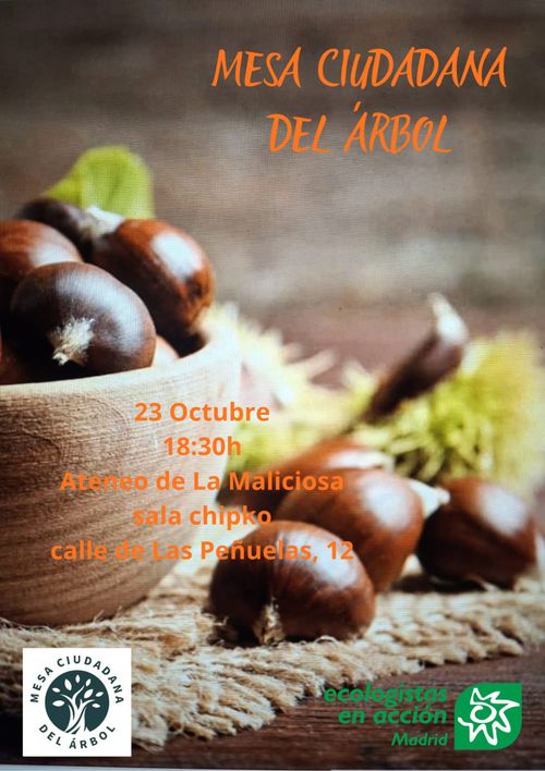 🌳📣 Mesa ciudadana del árbol 🌳📣 