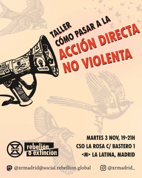 💥Taller: Cómo pasar a la acción directa no violenta  