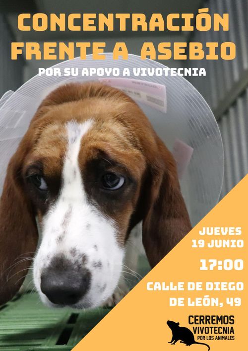 Concentración frente a ASEBIO por su apoyo a Vivotecnia